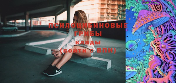 молекула духа Навашино