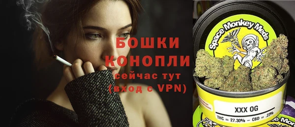 сатива Надым