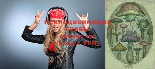 молекула духа Навашино
