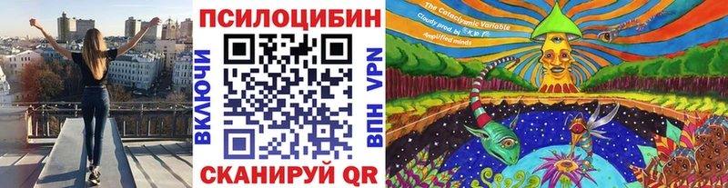 Псилоцибиновые грибы Cubensis  Мышкин 